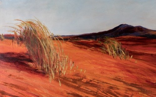 Piękno stworzenia - wystawa