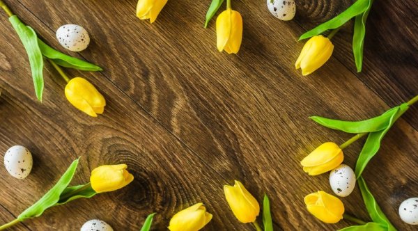 🌷🐣 Życzenia Wielkanocne 🐣🌷
