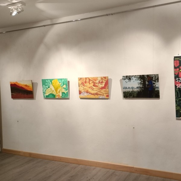 Wernisaż wystawy Tajemniczy ogród Szamborskiego