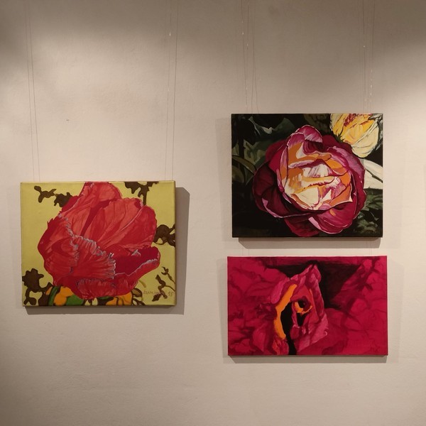 Wernisaż wystawy Tajemniczy ogród Szamborskiego