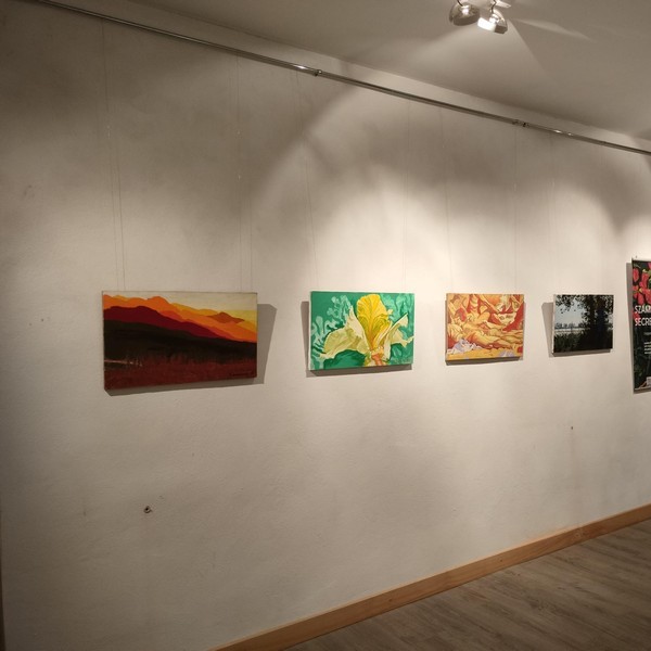 Wernisaż wystawy Tajemniczy ogród Szamborskiego