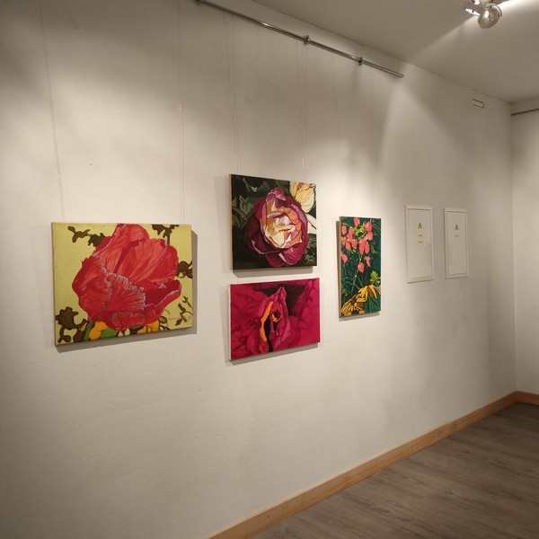 Wernisaż wystawy Tajemniczy ogród Szamborskiego