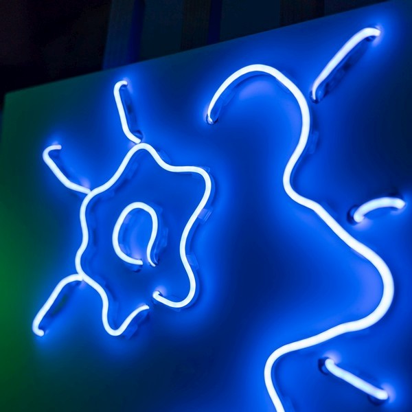 Dzień Otwarty WIT 2026 - Fotorelacja
